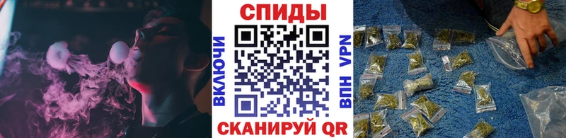 сколько стоит  Полярные Зори  Бутират Butirat 