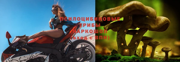 метадон Армянск