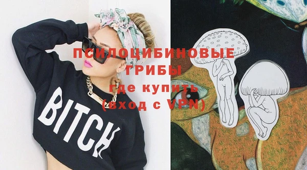 метадон Армянск