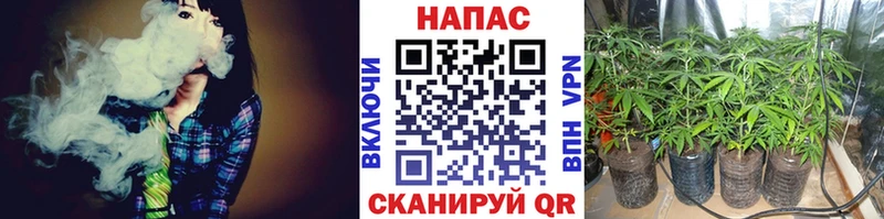 сайты даркнета клад  Полярные Зори  Марихуана THC 21% 